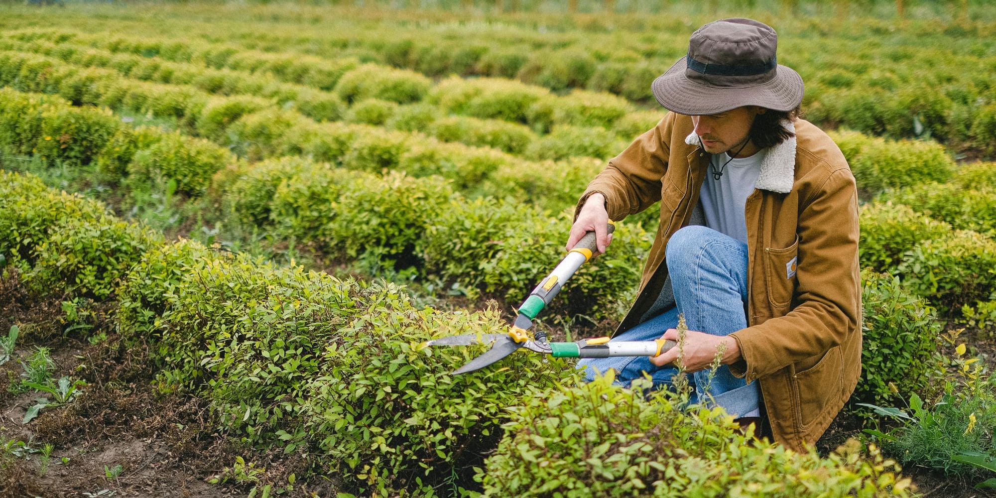 Golden Sun Landscaping Landscaping & Tree Service