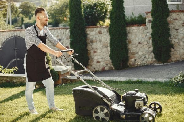 Lawn Care Gallery Image 2