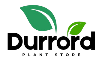 Client-Logo