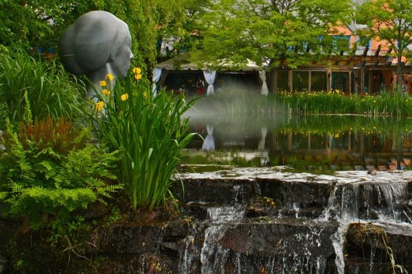 Zen Garden