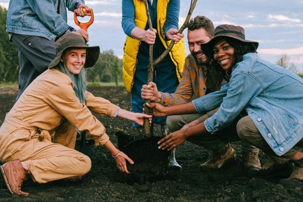 Tree Planting