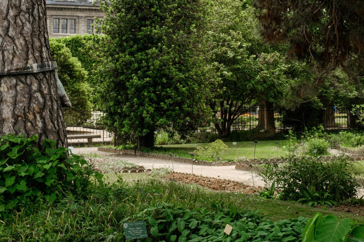 Gallery-Image
