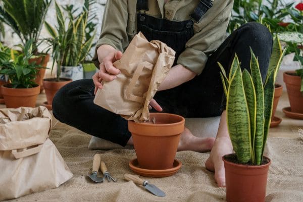 Gardening Workshop-Gallery-Image