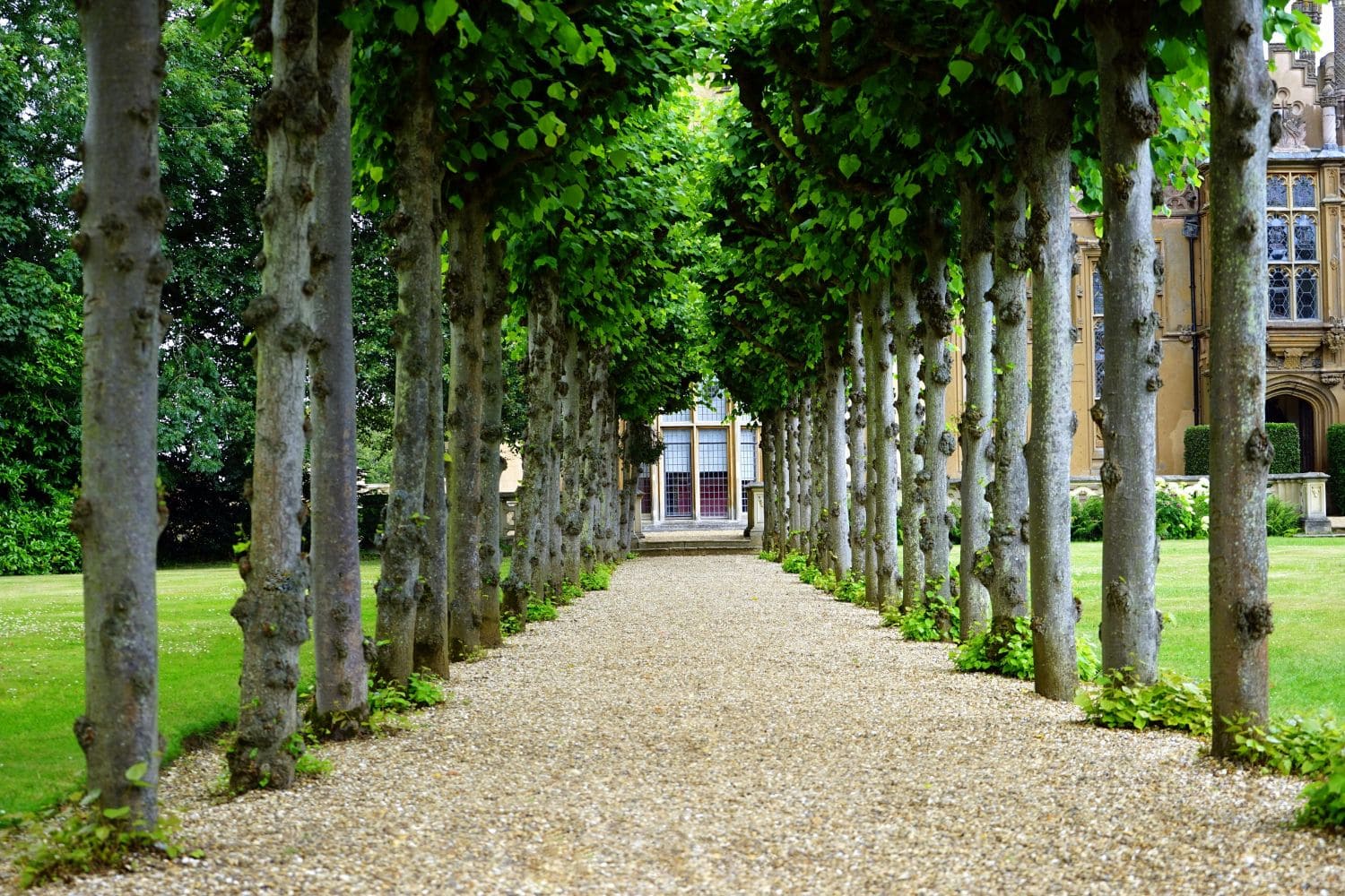 Gallery-Image