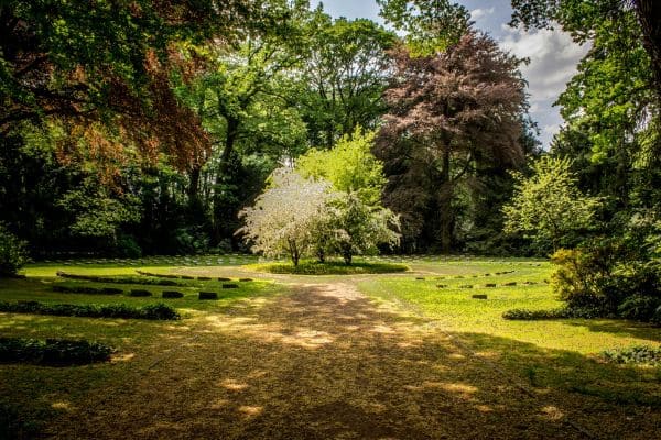 Theme Garden Installation Gallery Image 2