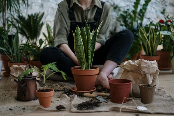 Gardening Workshop-Gallery-Image
