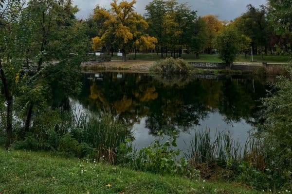 Water Ponds